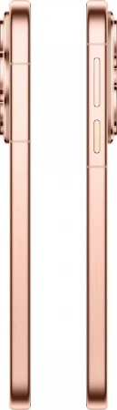 huawei pura 80 12/256gb prestige gold huawei pura 80 12/256gb prestige gold